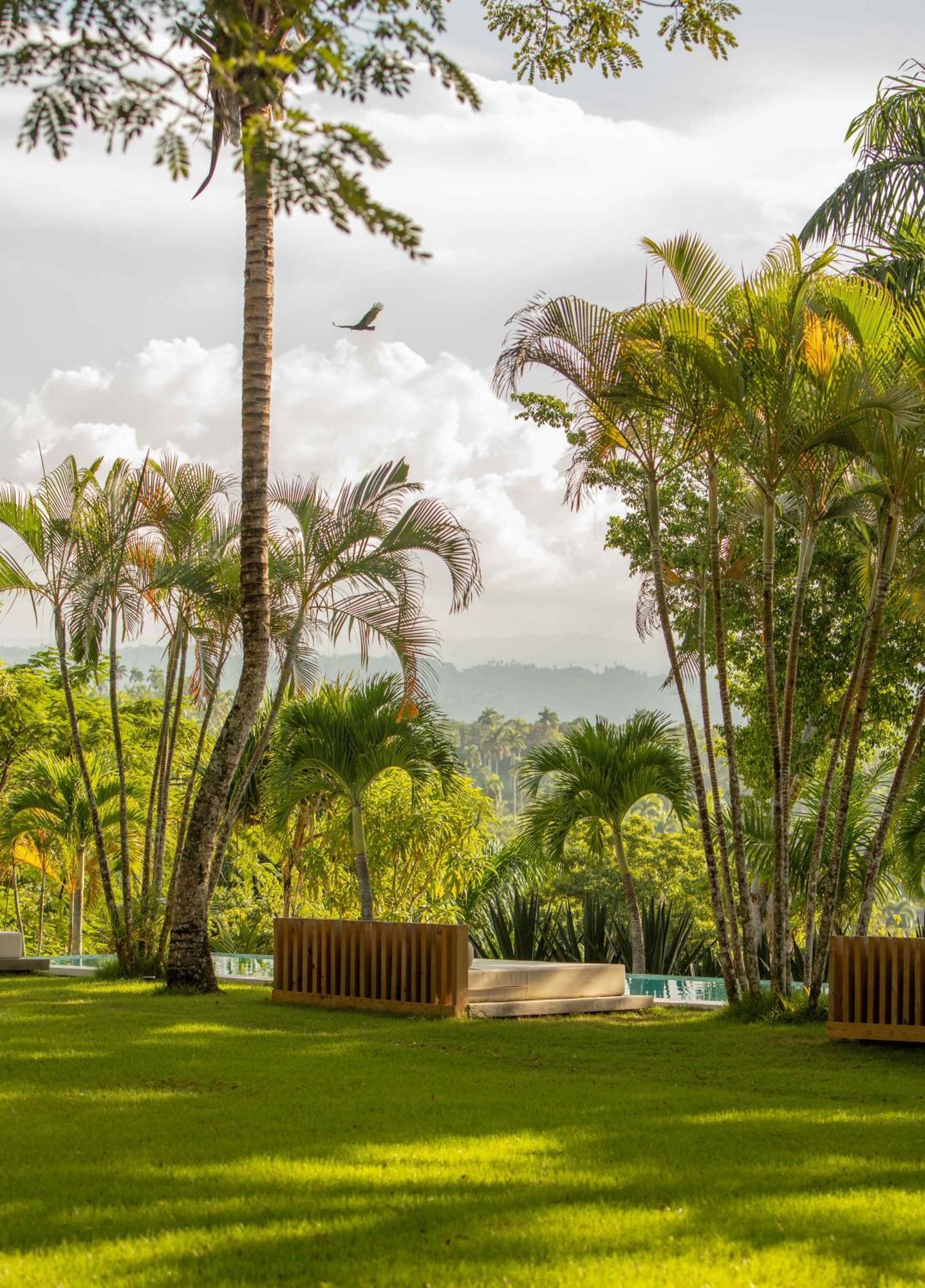 Oya - Wellness Eco Resort & Retreat Jamao al Norte Экстерьер фото